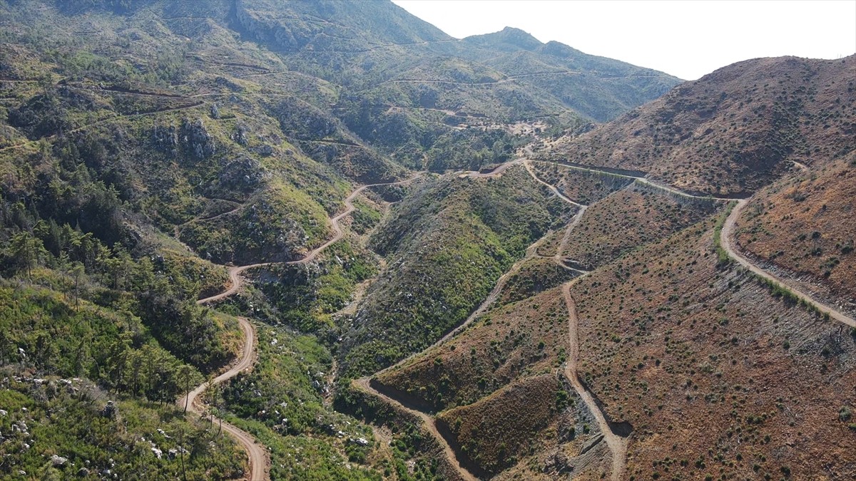 Muğla'da meydana gelen yangınlarda zarar gören ormanlık alanlar, ekiplerin yoğun çalışmasıyla...