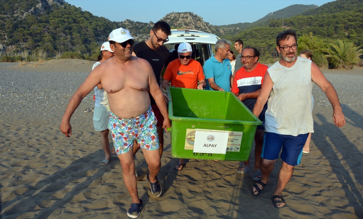 Muğla'nın Ortaca ilçesindeki Deniz Kaplumbağaları Araştırma, Kurtarma ve Rehabilitasyon...