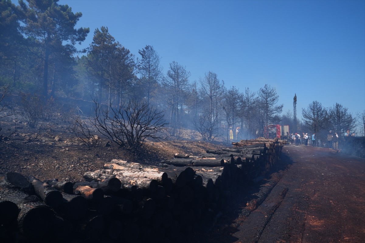  Pendik'te, Çamlık Mahallesi Aydos Ormanı'nda çıkan yangına, ekiplerin havadan ve karadan...