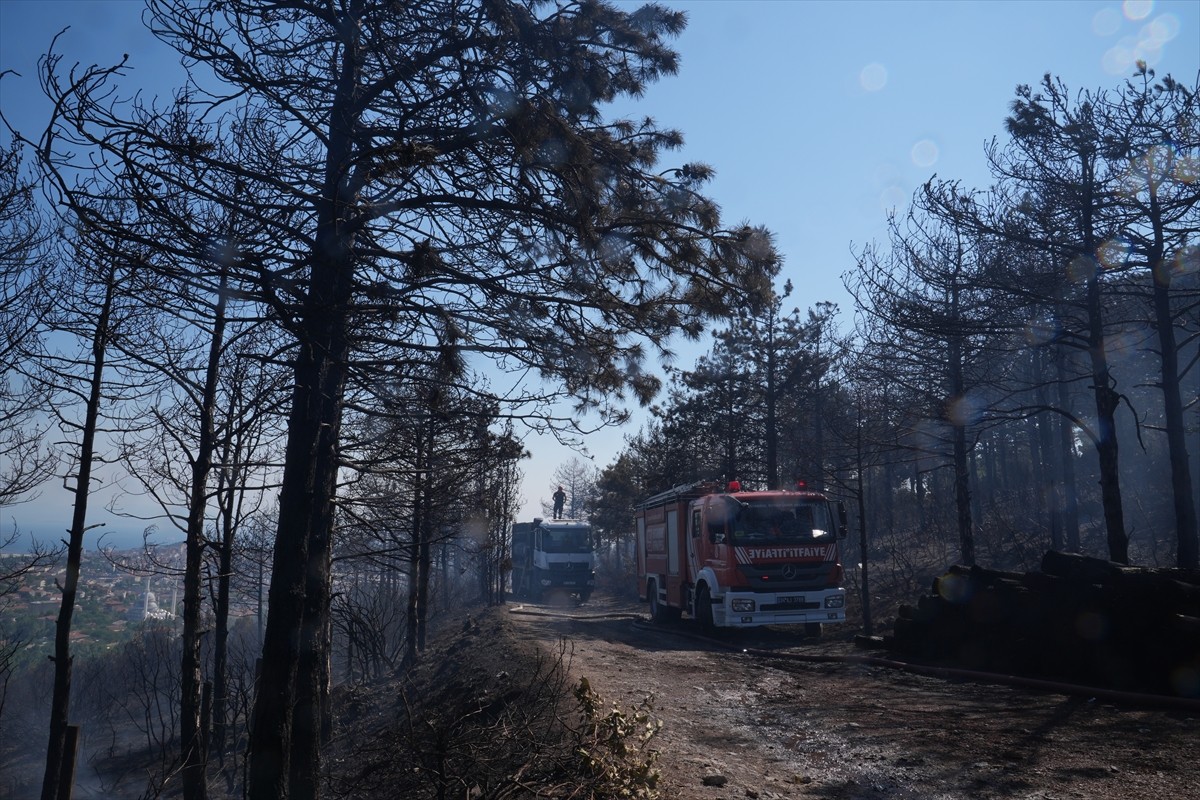  Pendik'te, Çamlık Mahallesi Aydos Ormanı'nda çıkan yangına, ekiplerin havadan ve karadan...