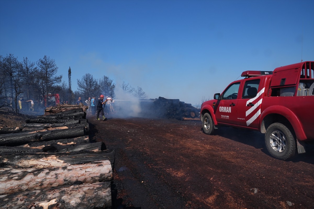  Pendik'te, Çamlık Mahallesi Aydos Ormanı'nda çıkan yangına, ekiplerin havadan ve karadan...