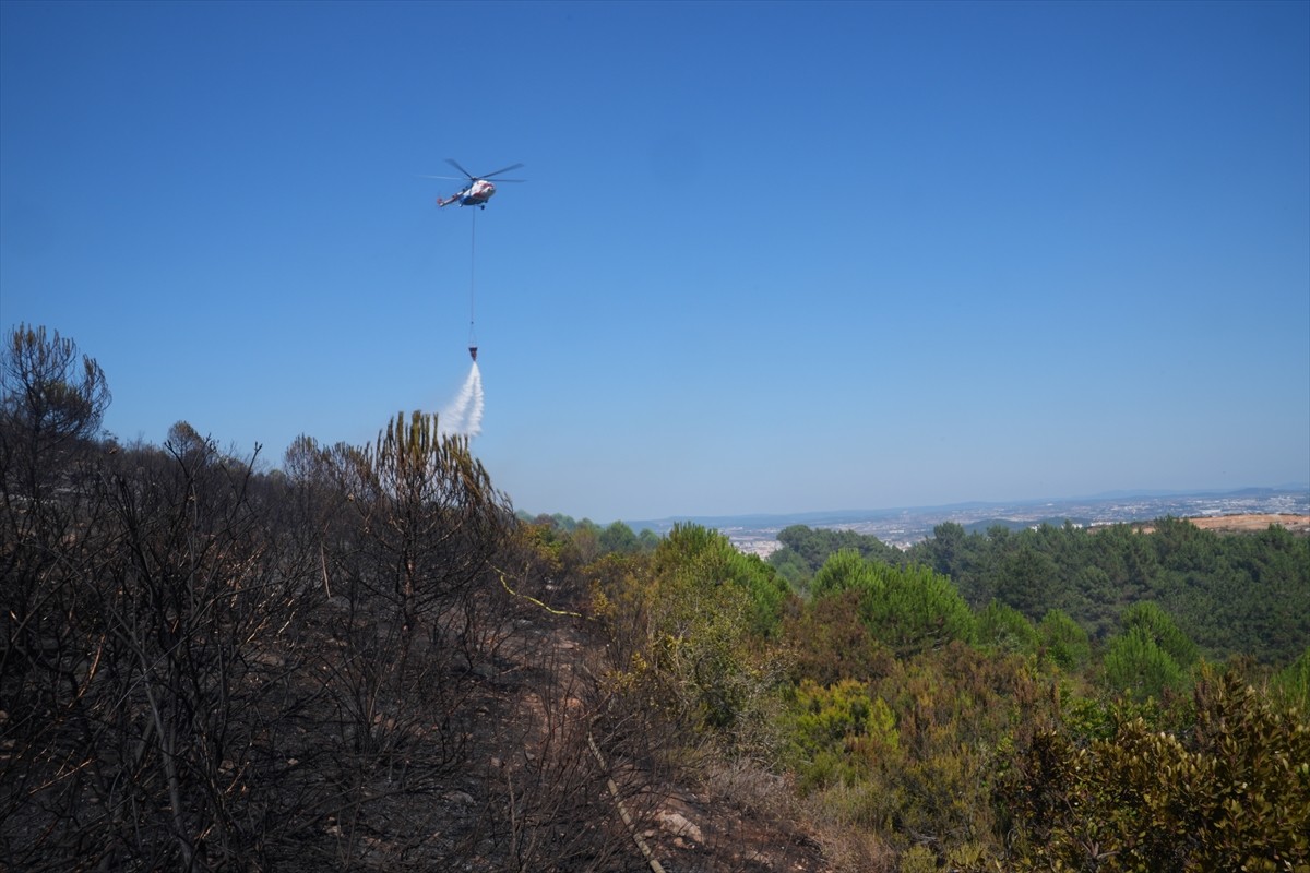  Pendik'te, Çamlık Mahallesi Aydos Ormanı'nda çıkan yangına, ekiplerin havadan ve karadan...