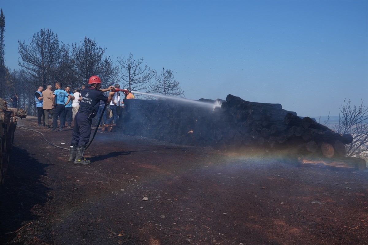  Pendik'te, Çamlık Mahallesi Aydos Ormanı'nda çıkan yangına, ekiplerin havadan ve karadan...