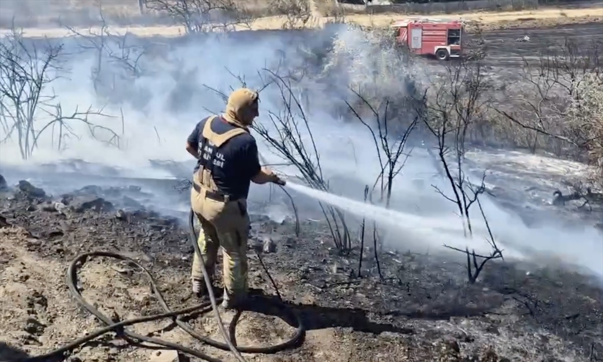 Silivri'de, otluk alanda çıkan yangına itfaiye müdahale ediyor. D-100 kara yolu Edirne istikameti...