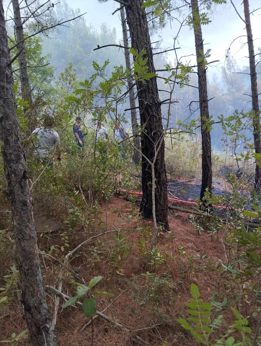 Sinop'un Dikmen ilçesinde ormanlık alanda çıkan yangın kontrol altına alındı.