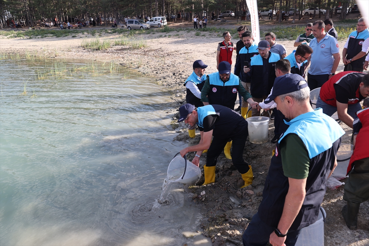 Tarım ve Orman Bakan Yardımcısı Ebubekir Gizligider, Nevşehir Tarım ve Orman İl Müdürlüğünün...