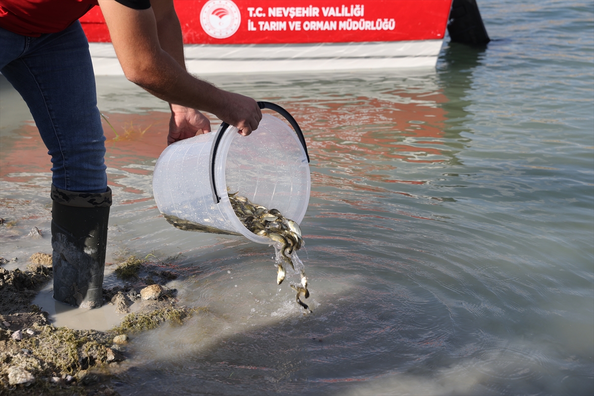Tarım ve Orman Bakan Yardımcısı Ebubekir Gizligider, Nevşehir Tarım ve Orman İl Müdürlüğünün...