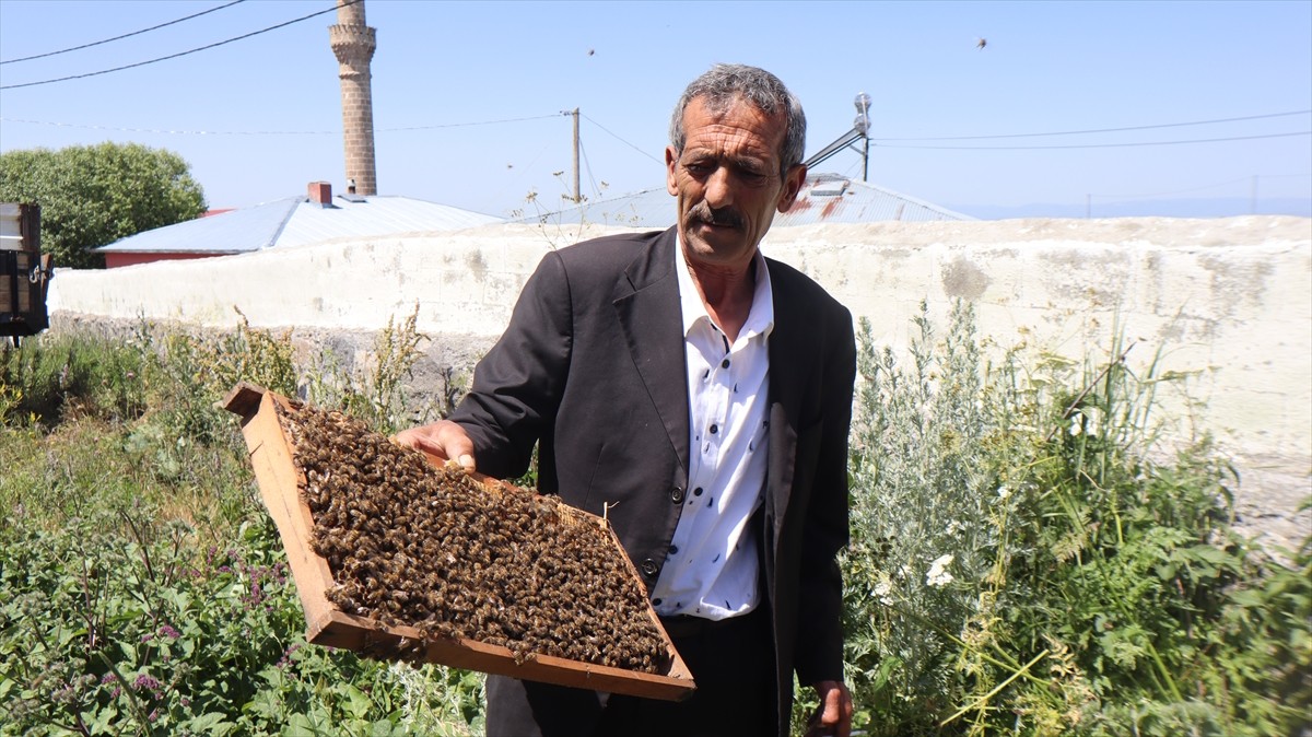 Türkiye'nin önemli bal üretim yerlerinden Kars'ta, bir süredir etkili olan sağanağın ardından...