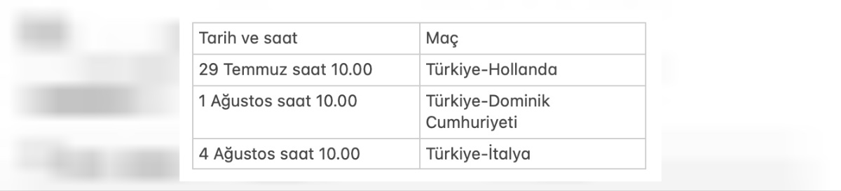 türkiye voleybol takımı