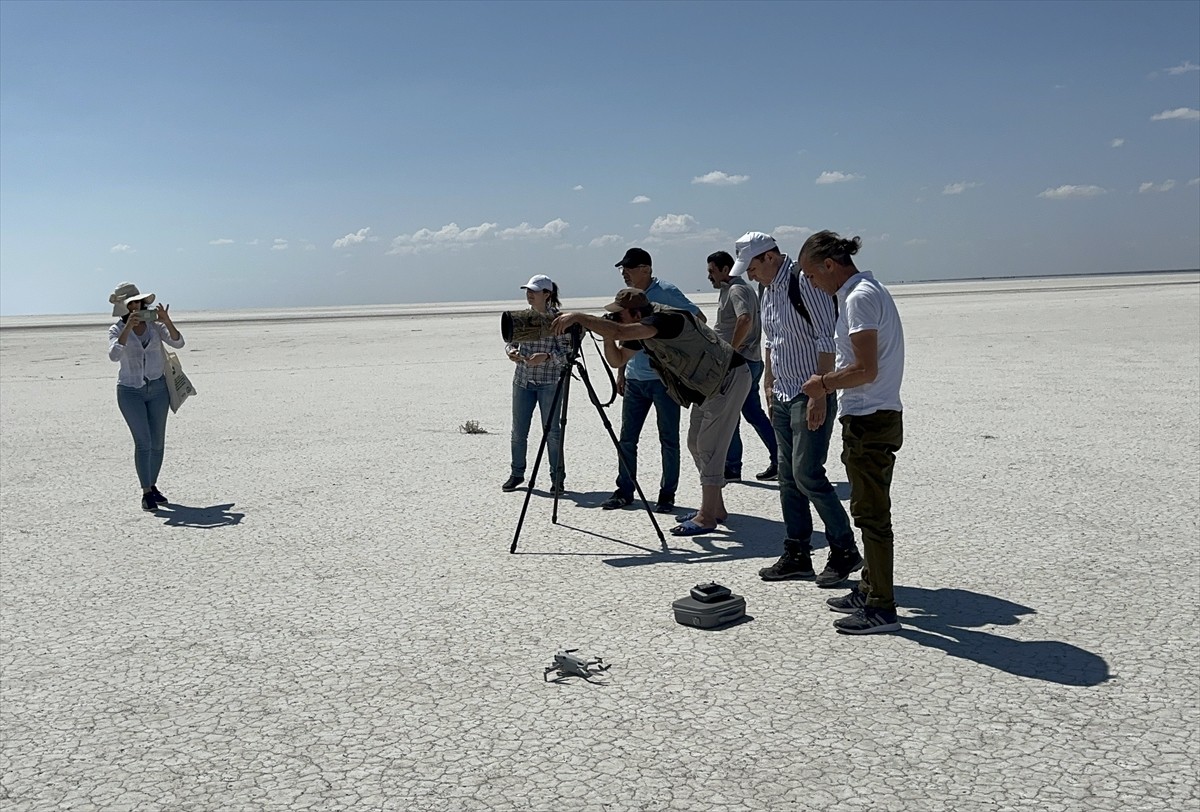 Tuz Gölü Özel Çevre Koruma Bölgesi'nde bu yıl 4 bin 300 yavru flamingonun yumurtadan çıktığı...
