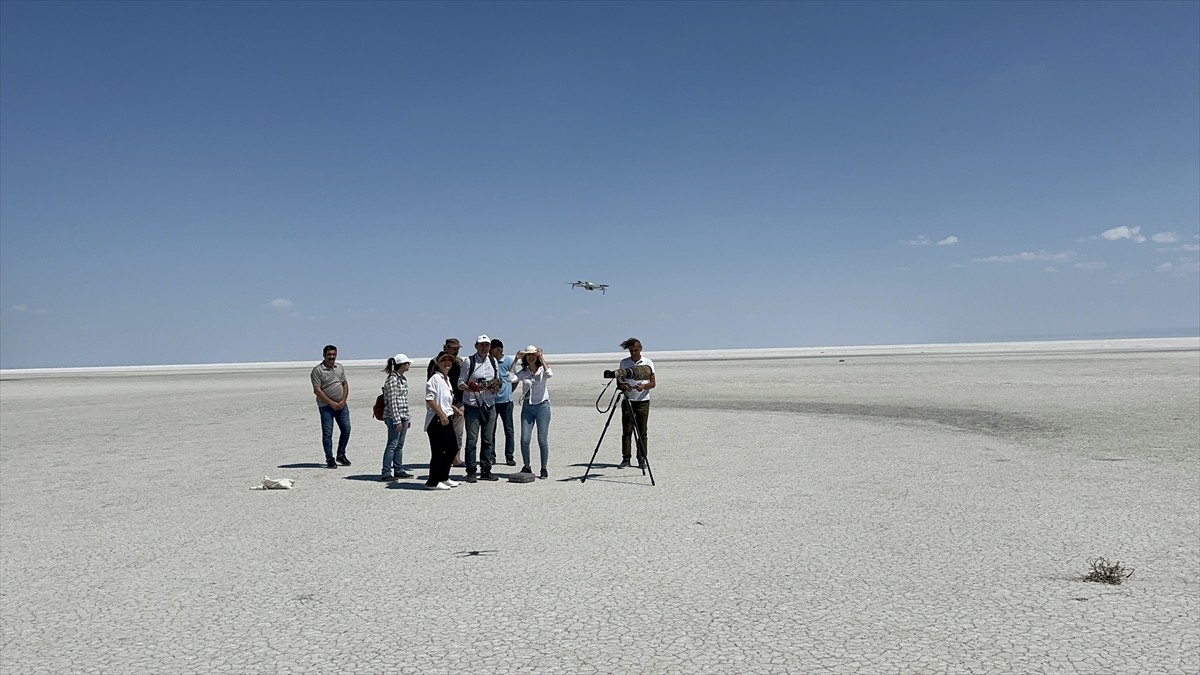 Tuz Gölü Özel Çevre Koruma Bölgesi'nde bu yıl 4 bin 300 yavru flamingonun yumurtadan çıktığı...