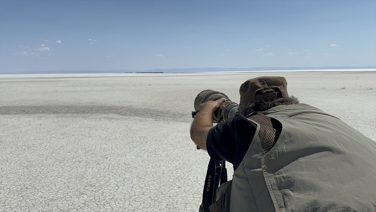 Tuz Gölü Özel Çevre Koruma Bölgesi'nde bu yıl 4 bin 300 yavru flamingonun yumurtadan çıktığı...