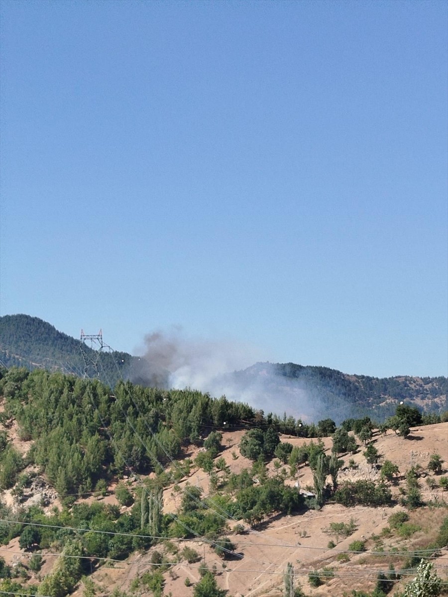 Adana'nın Kozan ilçesi Kızlarsekisi Mahallesi'ndeki ormanlık alanda yangın çıktı. 
