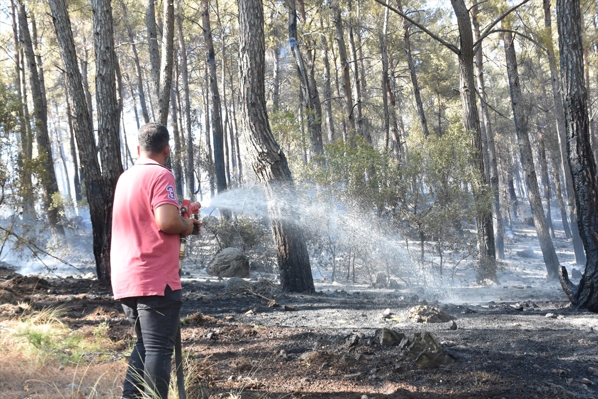 Antalya'nın Serik ilçesinde, ormanlık alanda çıkan yangın havadan ve karadan müdahaleyle kontrol...