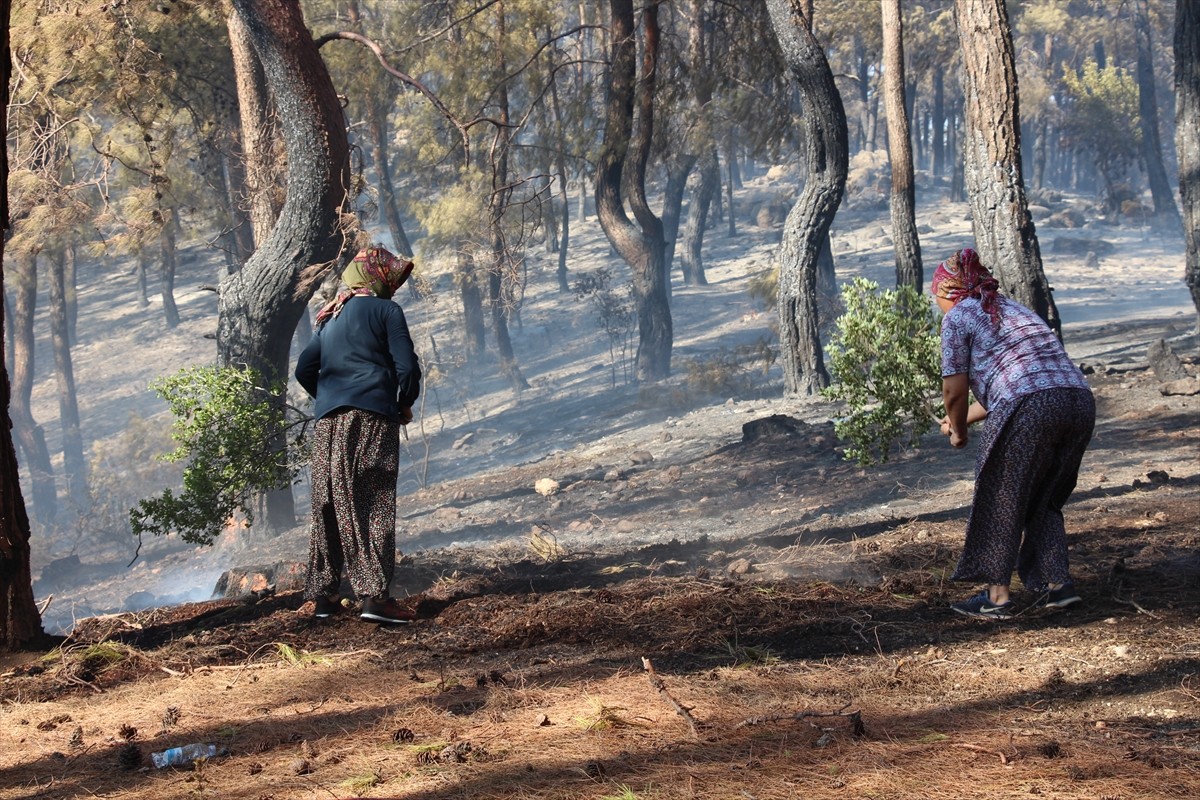 Antalya'nın Serik ilçesinde, ormanlık alanda çıkan yangın havadan ve karadan müdahaleyle kontrol...
