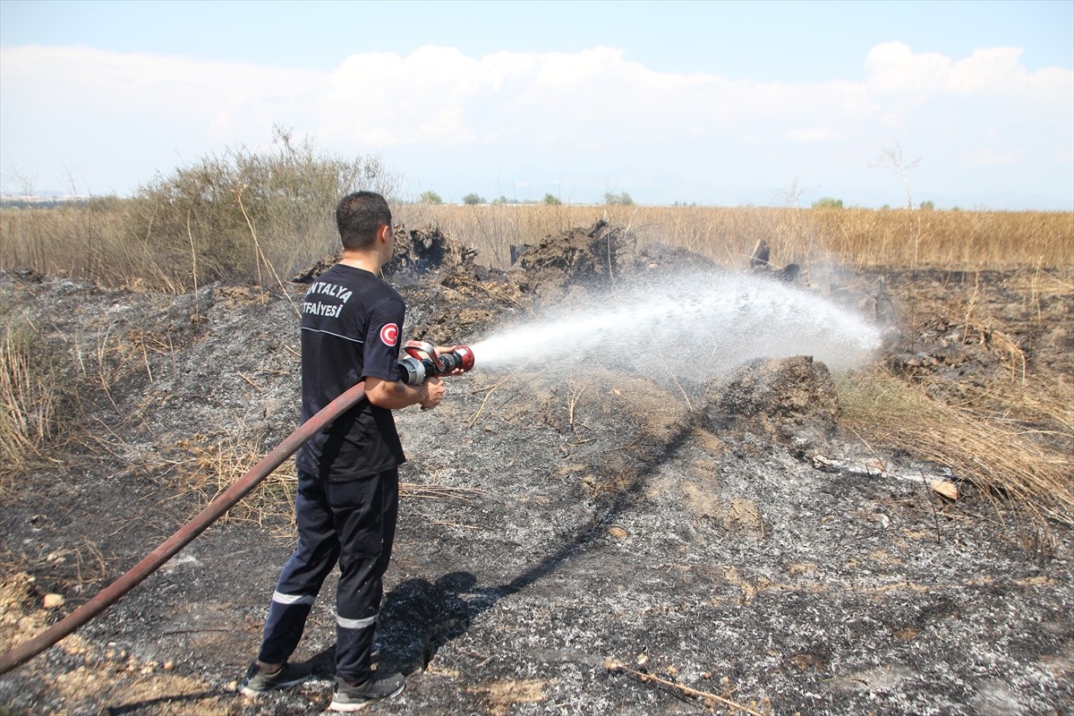 Antalya'nın Serik ilçesinde sazlık alanda başlayıp sera ile zeytin ve narenciye bahçelerine...