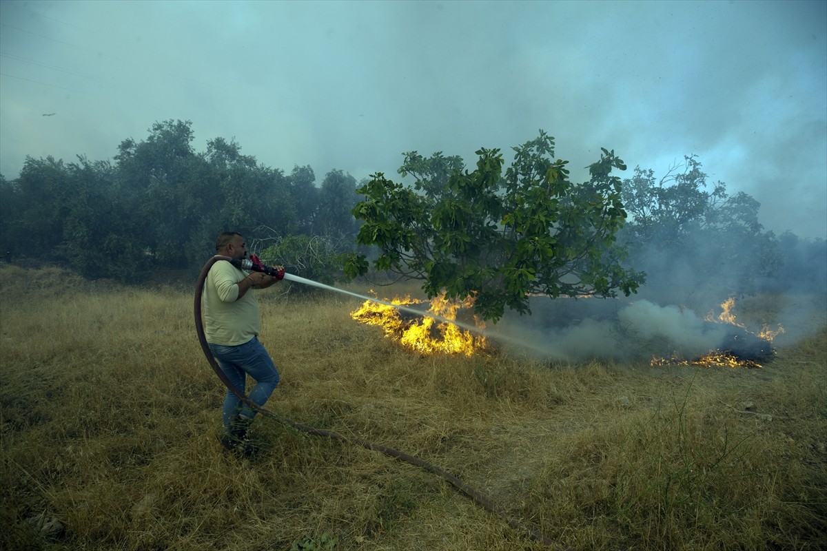 Aydın'ın Germencik ilçesinde, zeytinlik ve ormanlık alanda çıkan yangına havadan ve karadan...