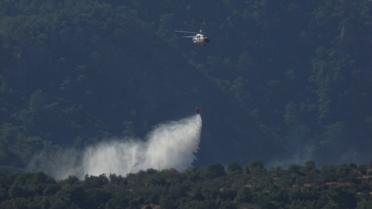 Balıkesir'in Havran ilçesinde traktörde yüklü samandan başlayıp makilik alana sıçrayan yangın...
