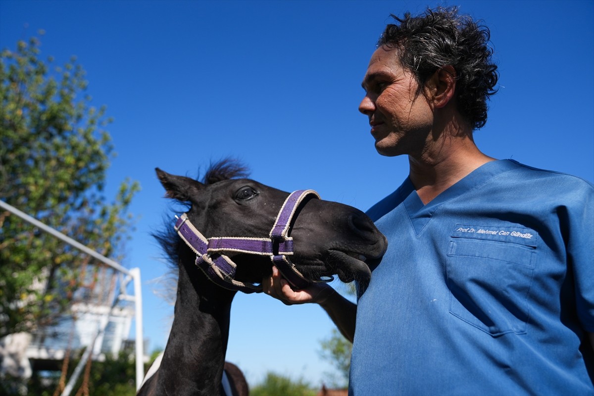Balıkesir Üniversitesi Öğretim Üyesi Prof. Dr. Mehmet Can Gündüz başkanlığındaki bir ekibin...