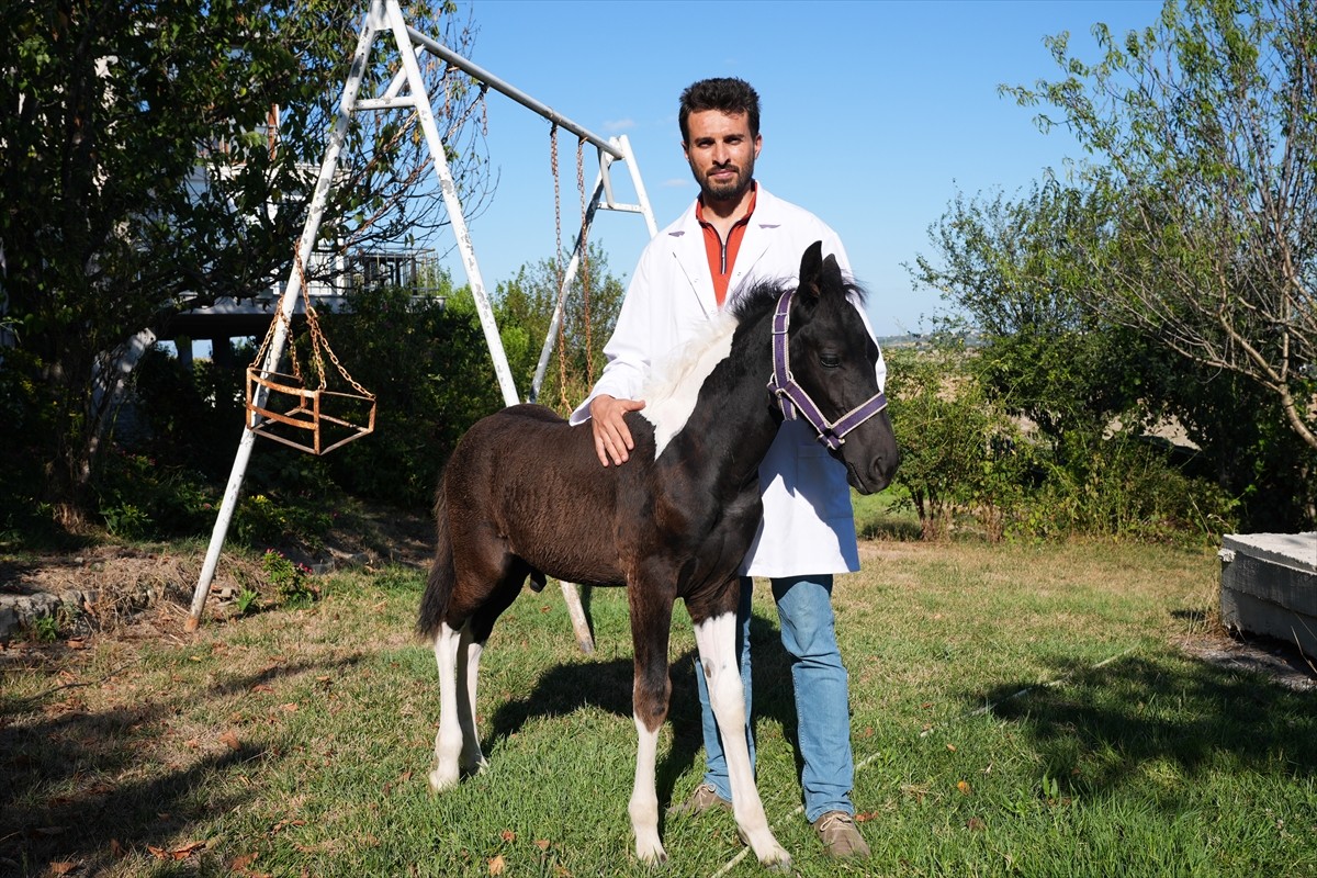 Balıkesir Üniversitesi Öğretim Üyesi Prof. Dr. Mehmet Can Gündüz başkanlığındaki bir ekibin...