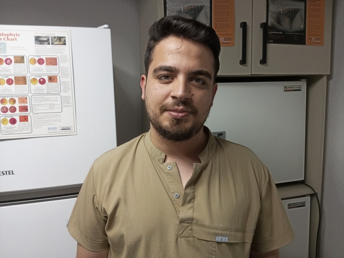 Bartın'da kimliği belirsiz kişiler tarafından silahla vurulan sahipsiz köpeğin tedavisi sürüyor....