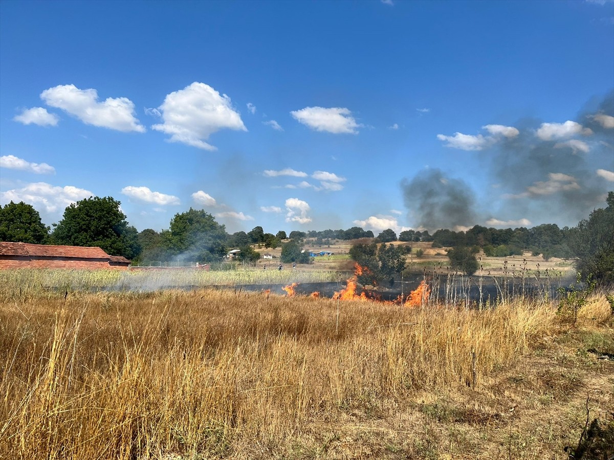 Bilecik'in Pazaryeri ilçesinde otluk alanda çıkan yangın söndürüldü.