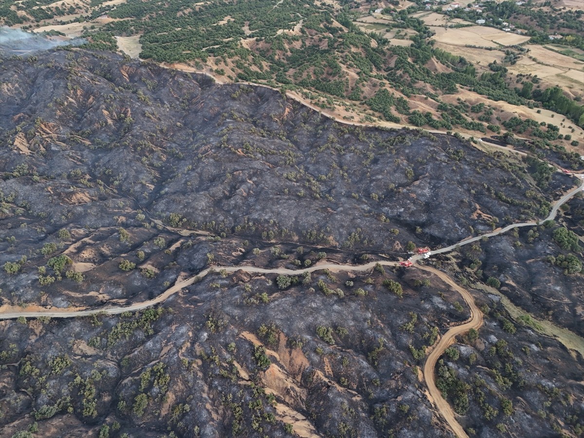 Bingöl'ün Genç ilçesinde çıkan orman yangını ekiplerin müdahalesiyle kontrol altına alındı....