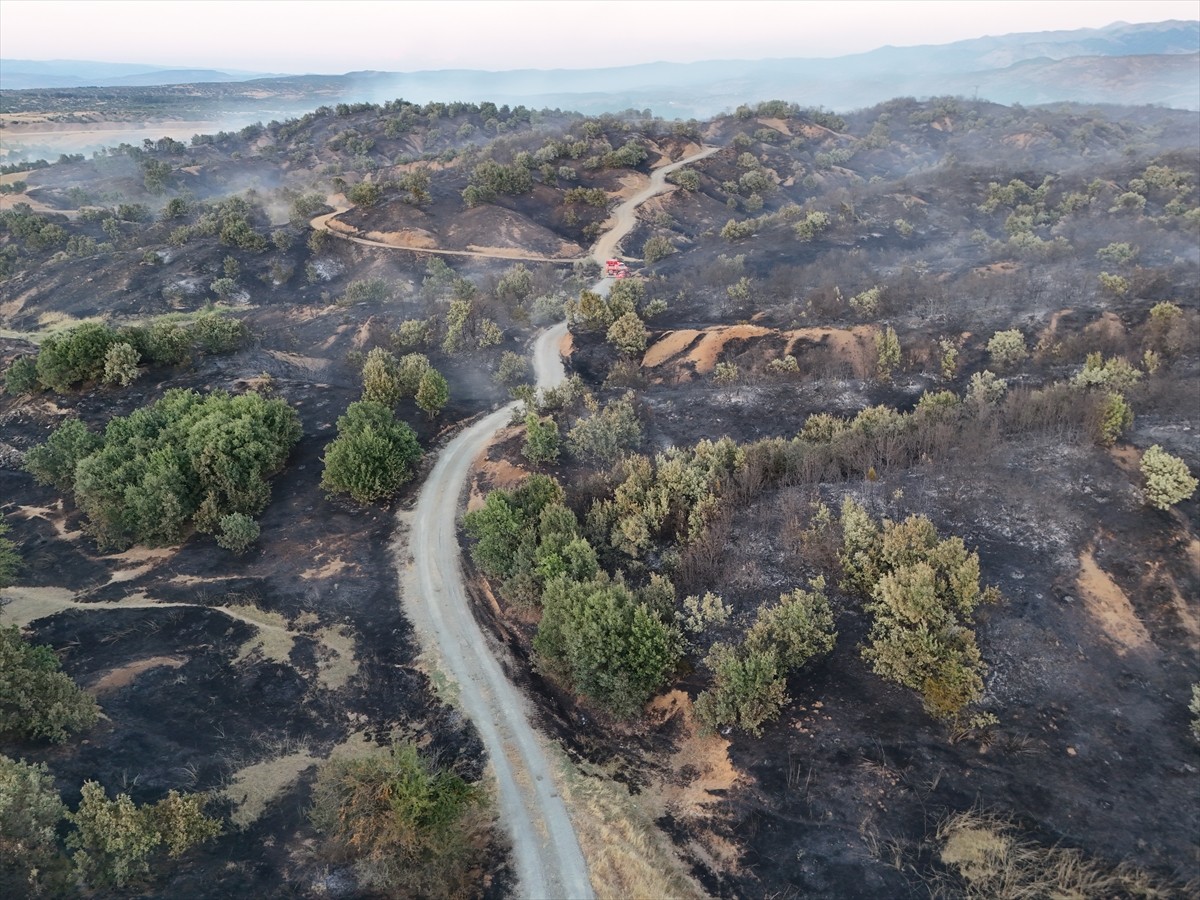 Bingöl'ün Genç ilçesinde çıkan orman yangını ekiplerin müdahalesiyle kontrol altına alındı....
