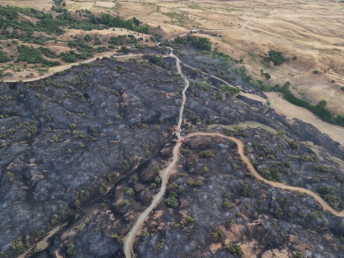 Bingöl'ün Genç ilçesinde çıkan orman yangını ekiplerin müdahalesiyle kontrol altına alındı....
