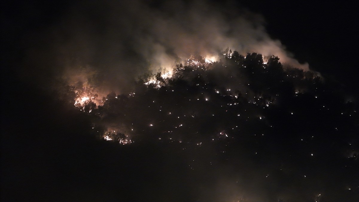 Bingöl'ün Genç ilçesinde çıkan orman yangınına ekiplerce müdahale ediliyor. 