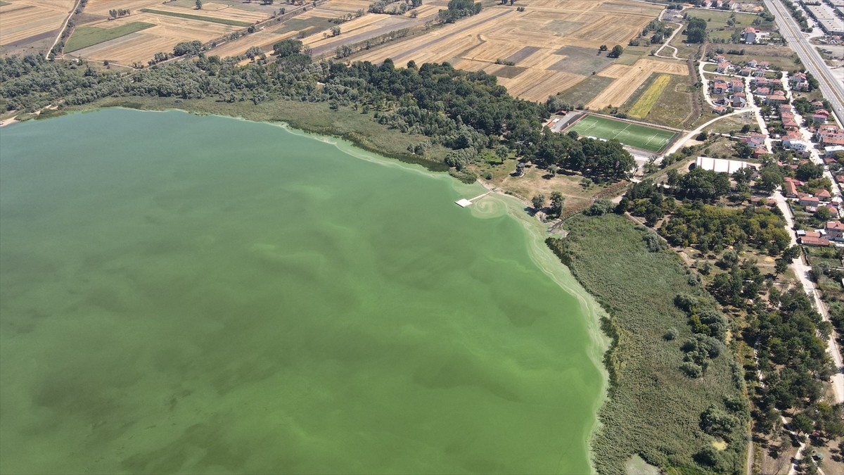 Bolu'nun önemli sulak alanlarından biri olan Yeniçağa Gölü'nün büyük kısmı, alg patlaması...