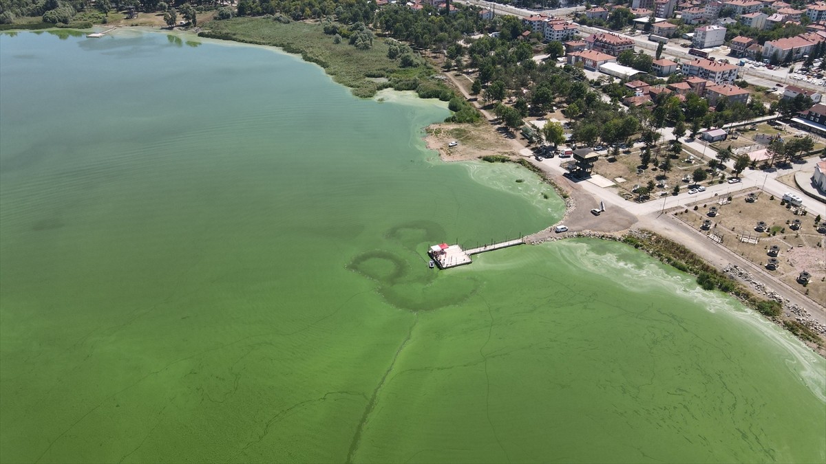 Bolu'nun önemli sulak alanlarından biri olan Yeniçağa Gölü'nün büyük kısmı, alg patlaması...