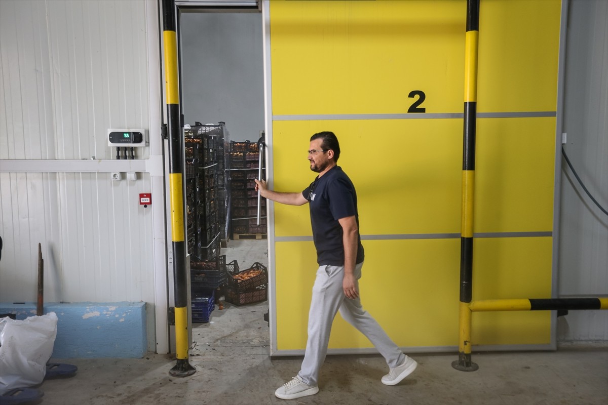 Bursa'nın İnegöl ilçesinde yılda 1 milyon meyve fidanı yetiştiren Ayşe ve Mehmet Ergene çifti...