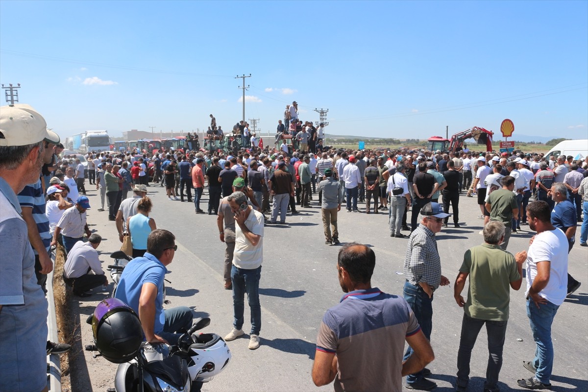 Bursa'nın Karacabey ve Mustafakemalpaşa ilçelerindeki domates üreticileri, "salça fabrikalarının...