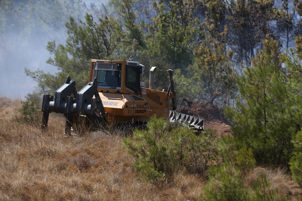 Çanakkale'nin Bozcaada ilçesinde tarım arazisinde çıkan yangın söndürülmeye...