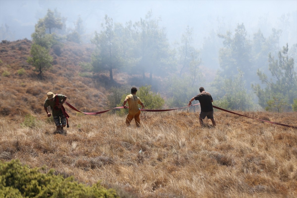 Çanakkale'nin Bozcaada ilçesinde tarım arazisinde çıkan yangın söndürülmeye...