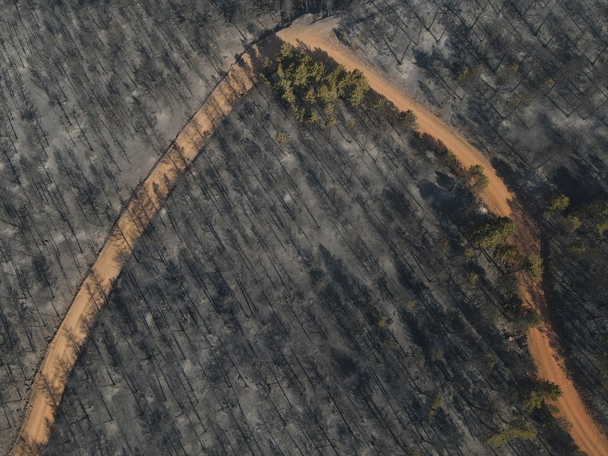 Çankırı'nın Ilgaz ilçesinde dün çıkan orman yangını kontrol altına alındı. Yangından zarar gören...