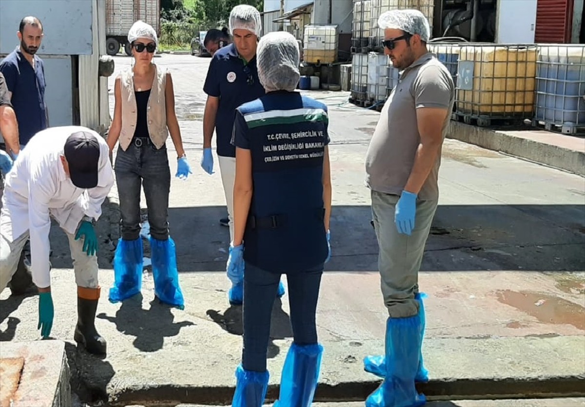 Çevre, Şehircilik ve İklim Değişikliği Bakanlığınca, Bolu'da Büyüksu Deresi ve Gerede Çayı'nda...