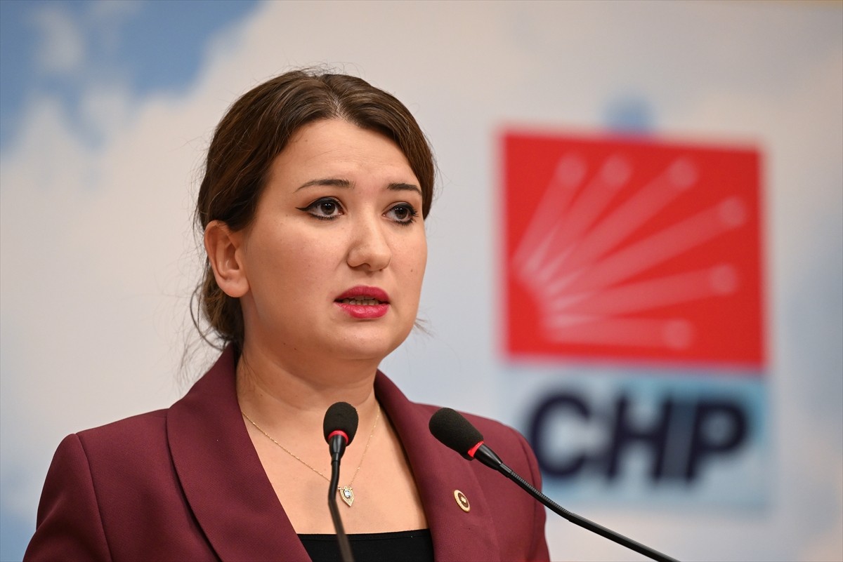 CHP Genel Başkan Yardımcısı Gökçe Gökçen, parti genel merkezinde düzenlediği basın toplantısında...