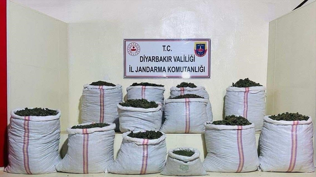Diyarbakır'ın Lice ilçesinde düzenlenen operasyonda, 2 milyon 300 bin 500 kök kenevir, 414 bin 500...