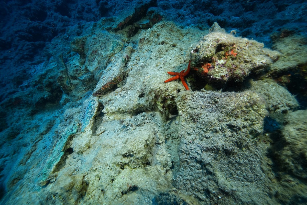  Dünyanın bilinen en eski batığı olarak nitelenen Kumluca Orta Tunç Çağı Batığı'nda arkeologların...