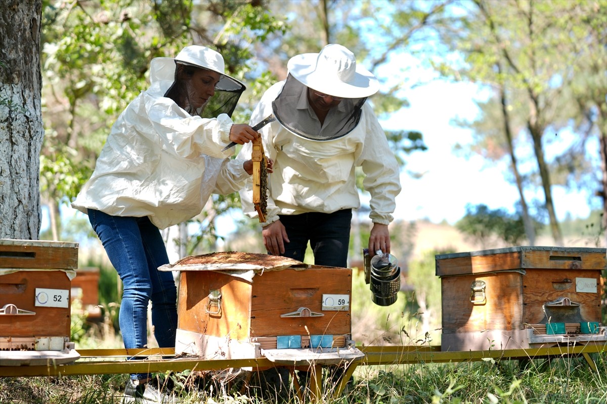 Düzce Üniversitesi Arıcılık Araştırma Geliştirme ve Uygulama Merkezi (DAGEM) Müdürlüğün'den...