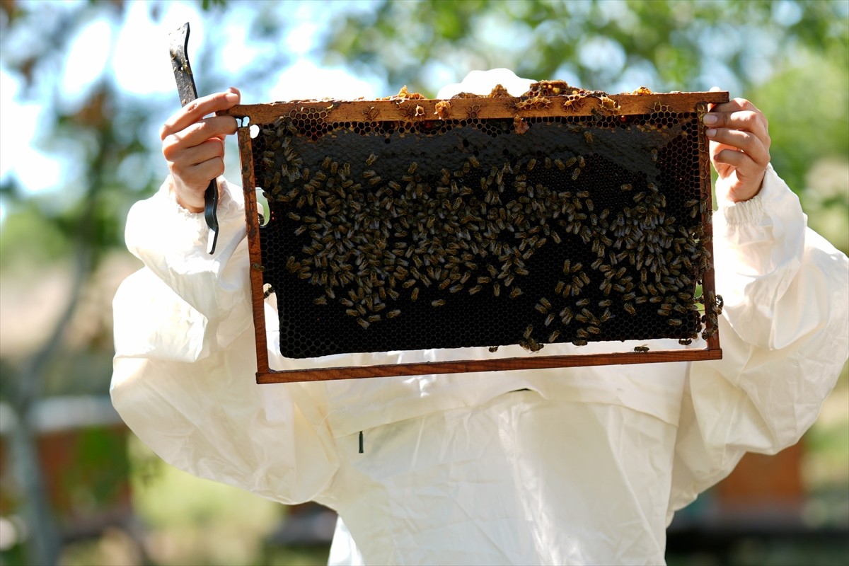 Düzce Üniversitesi Arıcılık Araştırma Geliştirme ve Uygulama Merkezi (DAGEM) Müdürlüğün'den...