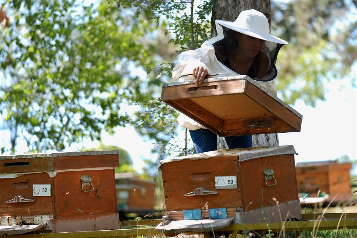 Düzce Üniversitesi Arıcılık Araştırma Geliştirme ve Uygulama Merkezi (DAGEM) Müdürlüğün'den...