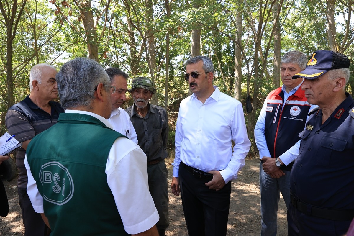 Edirne'de Valilik desteğiyle hayata geçirilen proje kapsamında sera alanının 500 dekara...