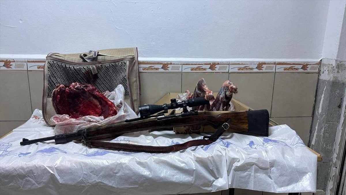 Erzincan'ın Üzümlü ilçesinde, dağ keçisi avlayan 3 kişiye, 694 bin lira para cezası uygulandı....