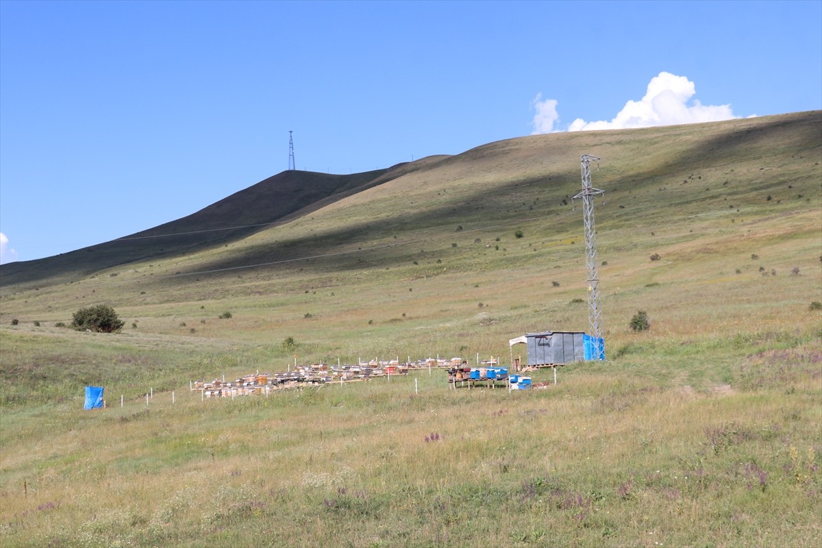 Erzurum'da, kovanlarının bulunduğu Güzelova Yaylası'nda, kovanlarının bulunduğu bölgedeki evinde...
