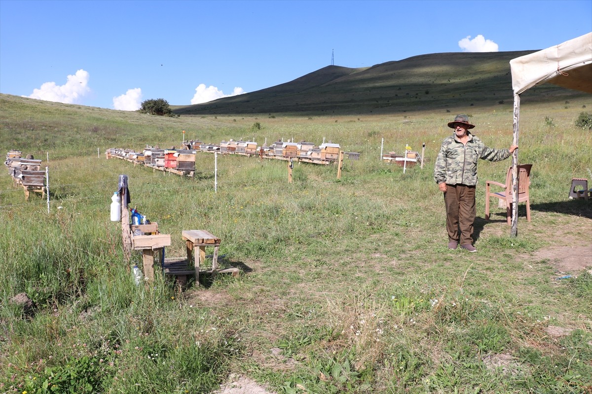 Erzurum'da, kovanlarının bulunduğu Güzelova Yaylası'nda, kovanlarının bulunduğu bölgedeki evinde...