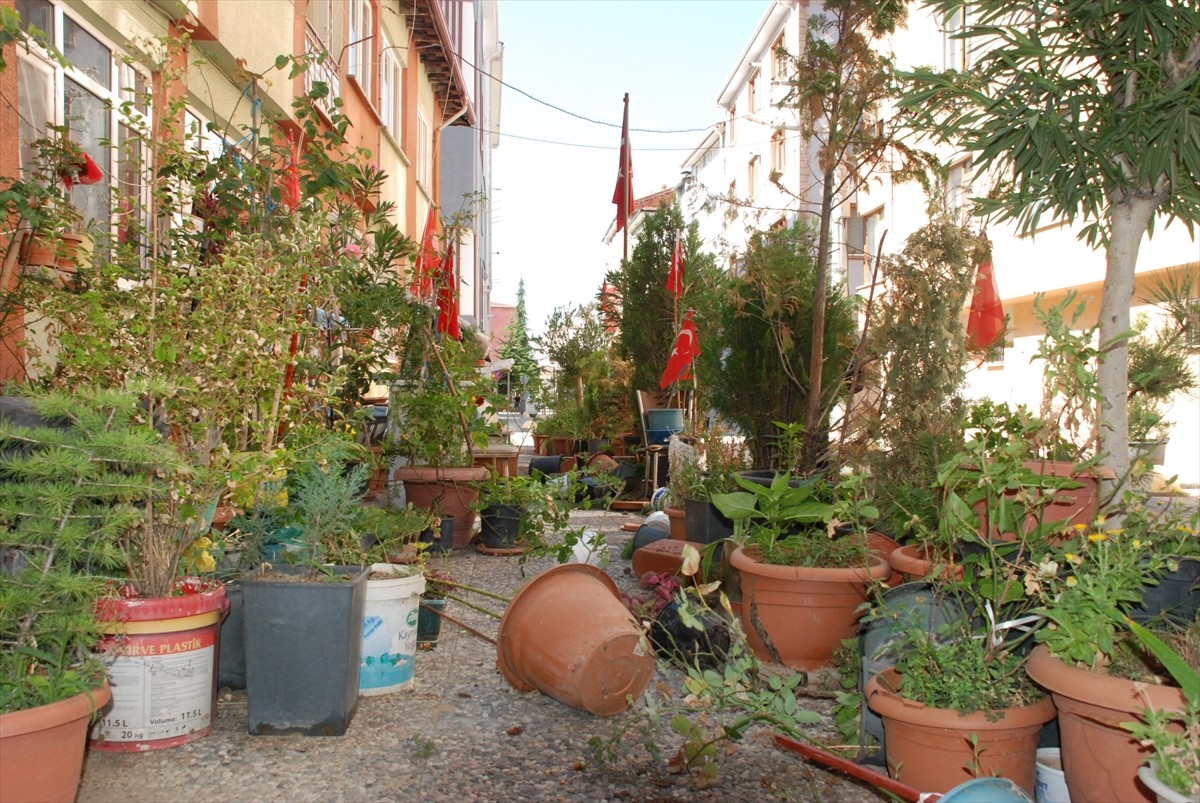 Eskişehir'de yaşayan Memduh Çetin, felçli eşinin çıkıp gezebilmesi için 2 yıl önce evinin...