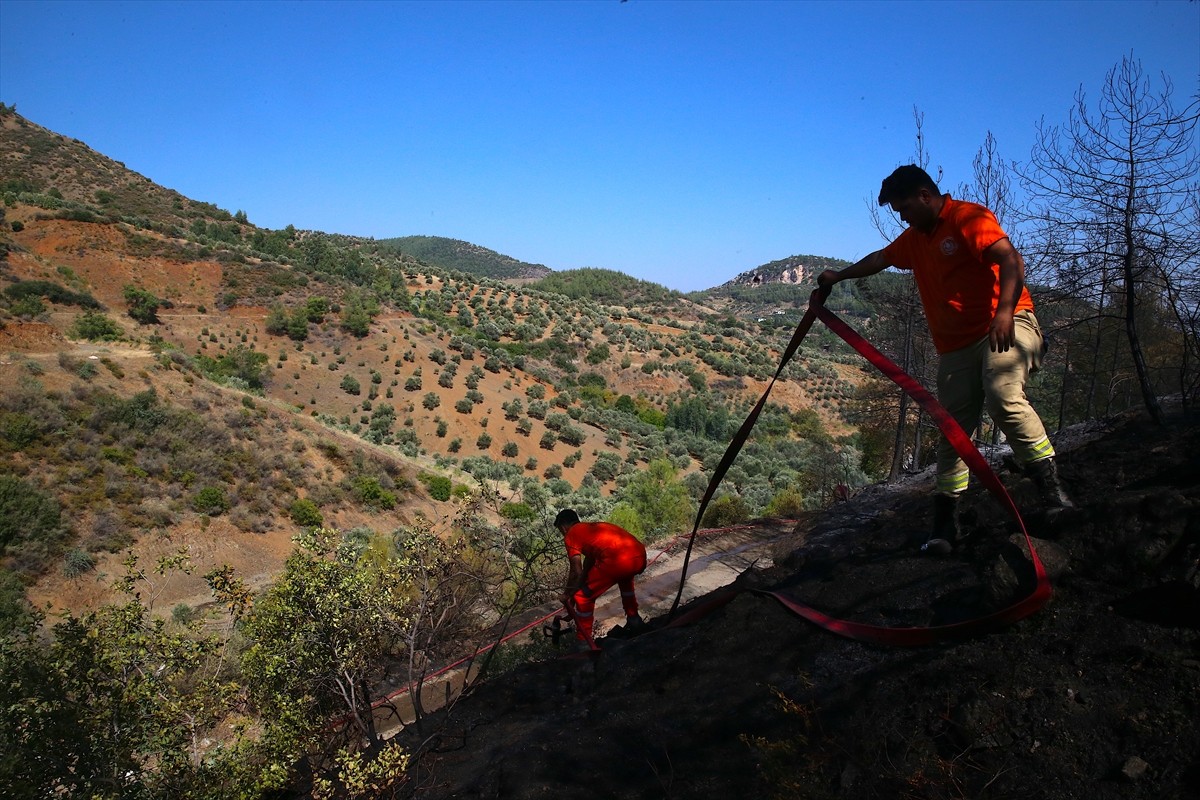 Hatay'ın merkez Antakya ilçesinde ormanlık alanda çıkan yangın kontrol altına alındı.